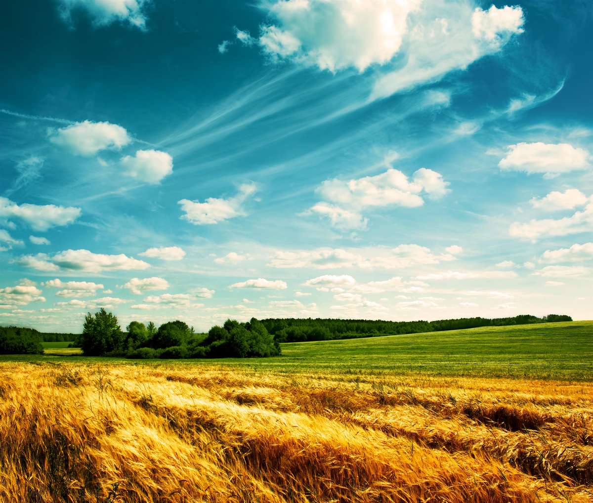 Blue sky over green fields