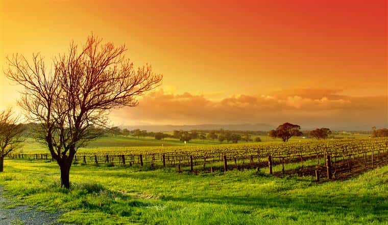 Sunset over a farm