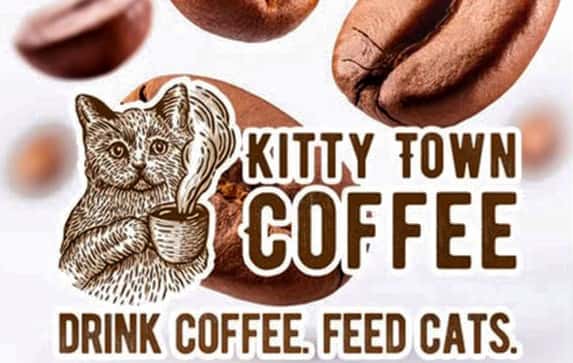 Kitty Town Coffee