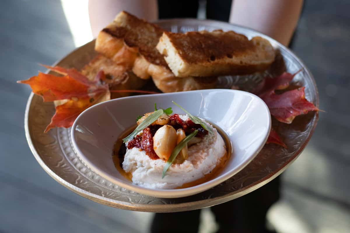 person holding a plate of hummus and bread