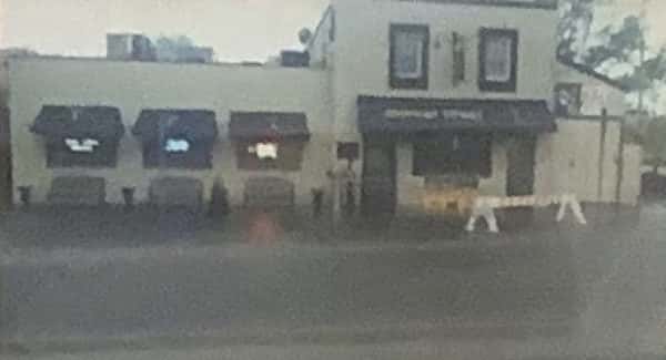 Hurricane Sandy