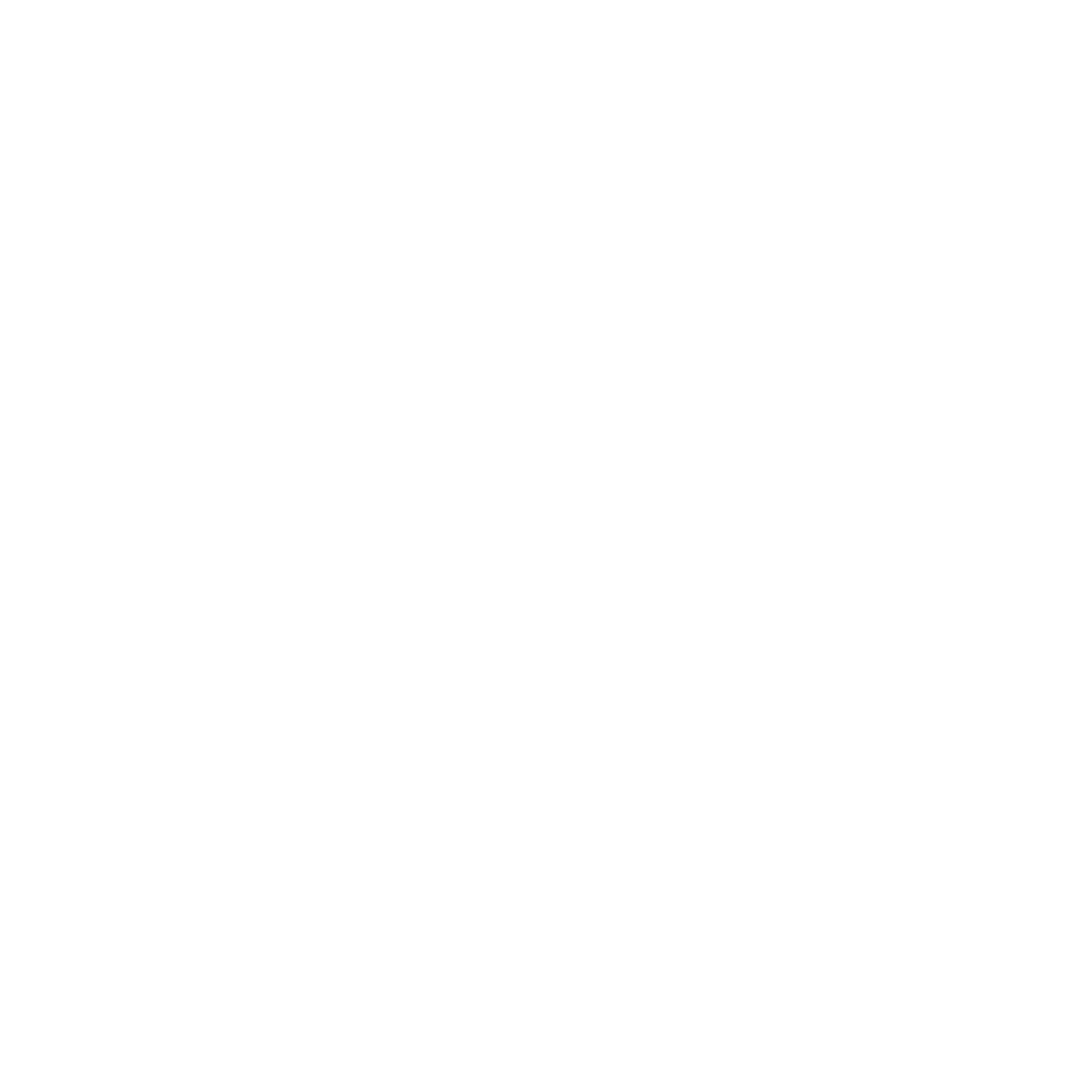 segreto white logo