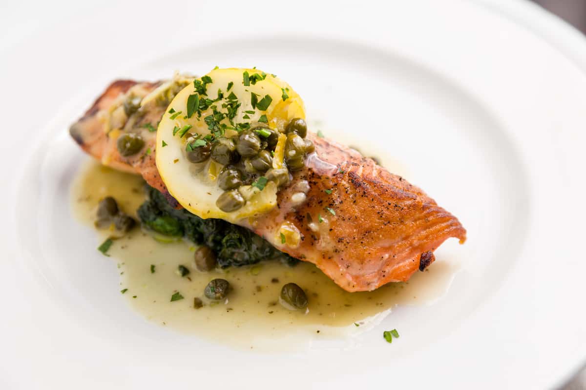 salmon