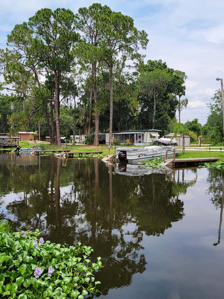 Cherry Pocket Fish Camp - Lake Wales, Florida - Campspot