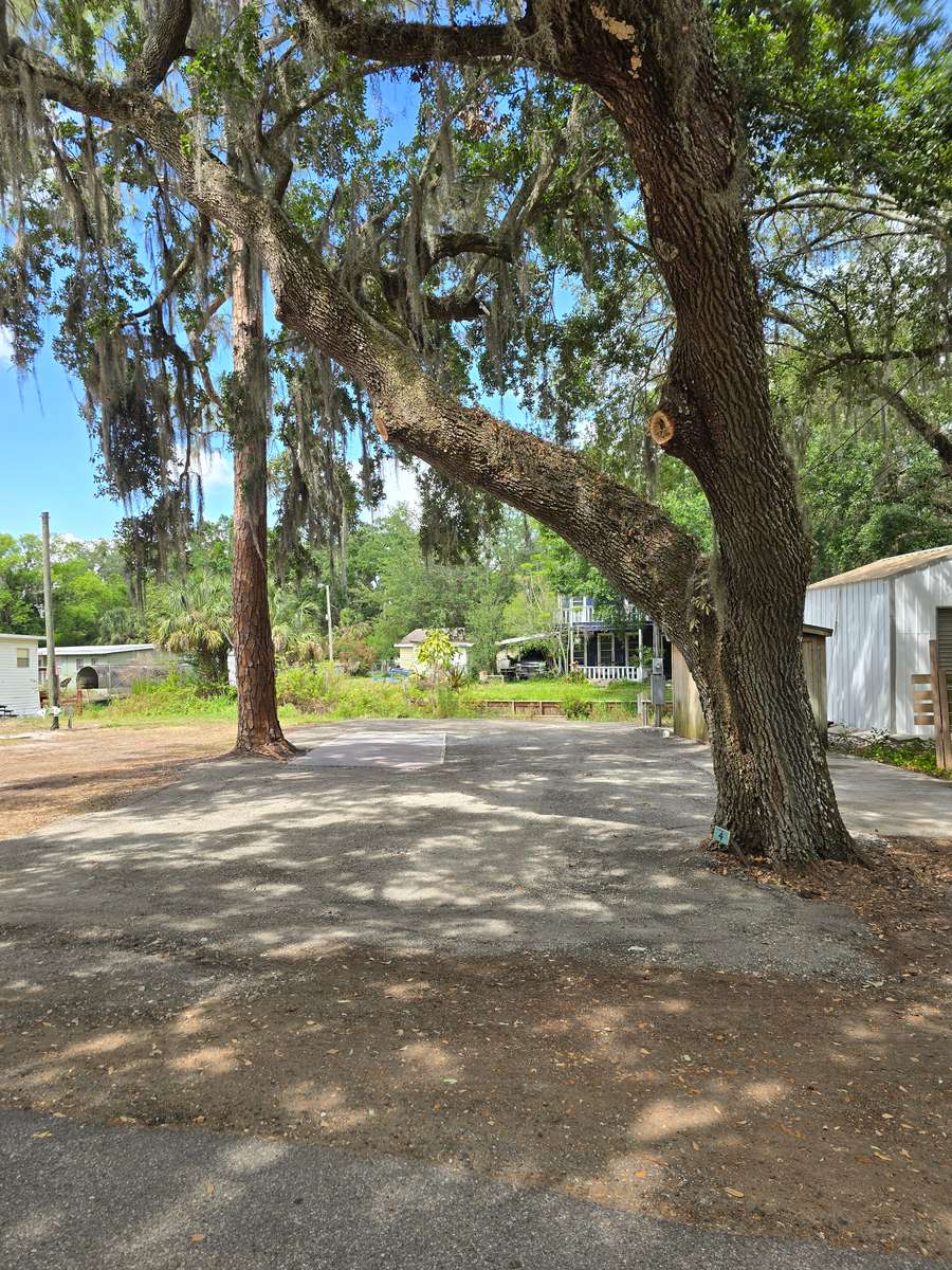 Site 4