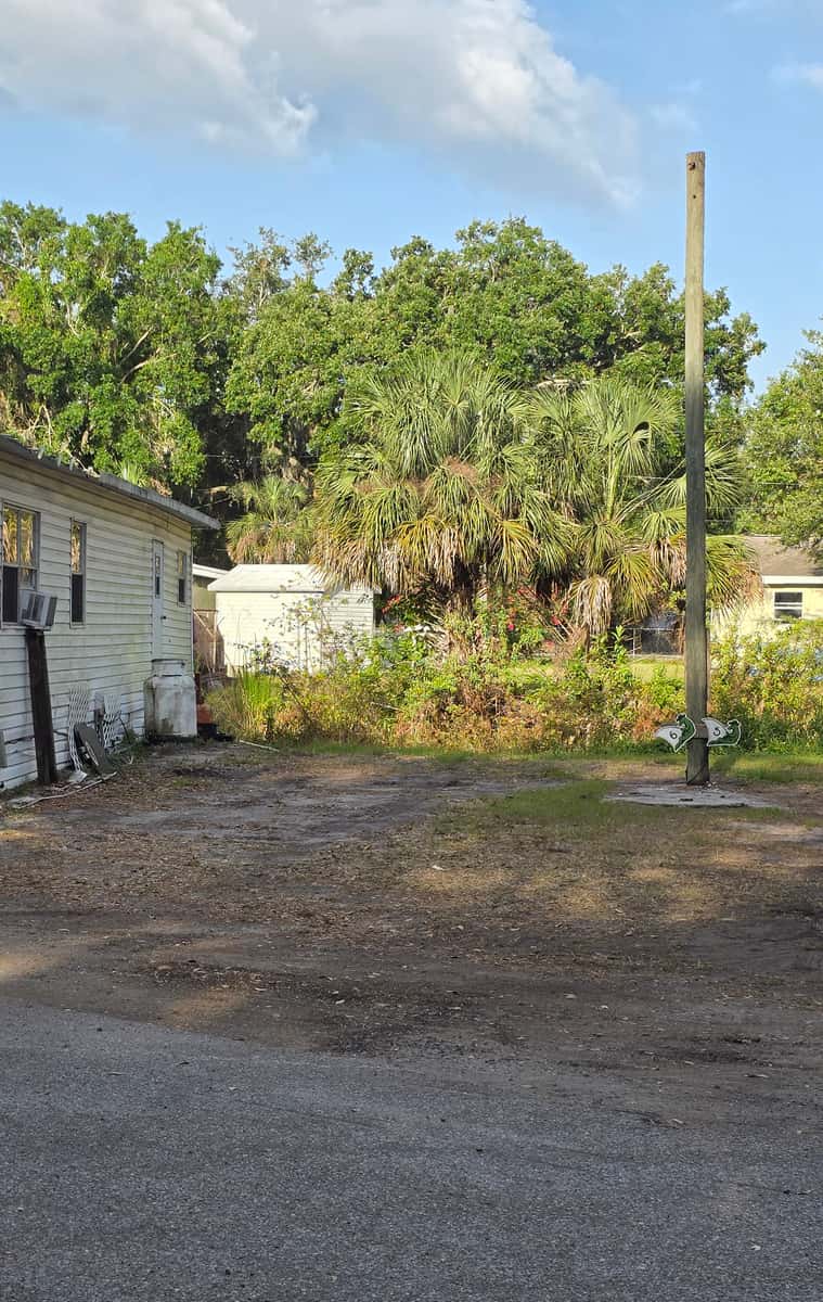 Lot 6