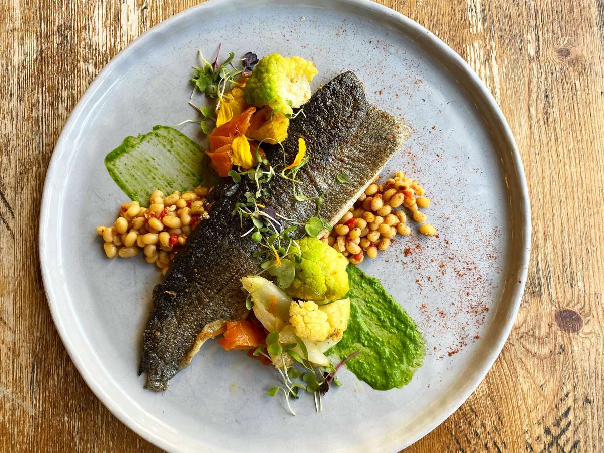 Pan-seared fish served with vegetables, microgreens, and herb sauce
