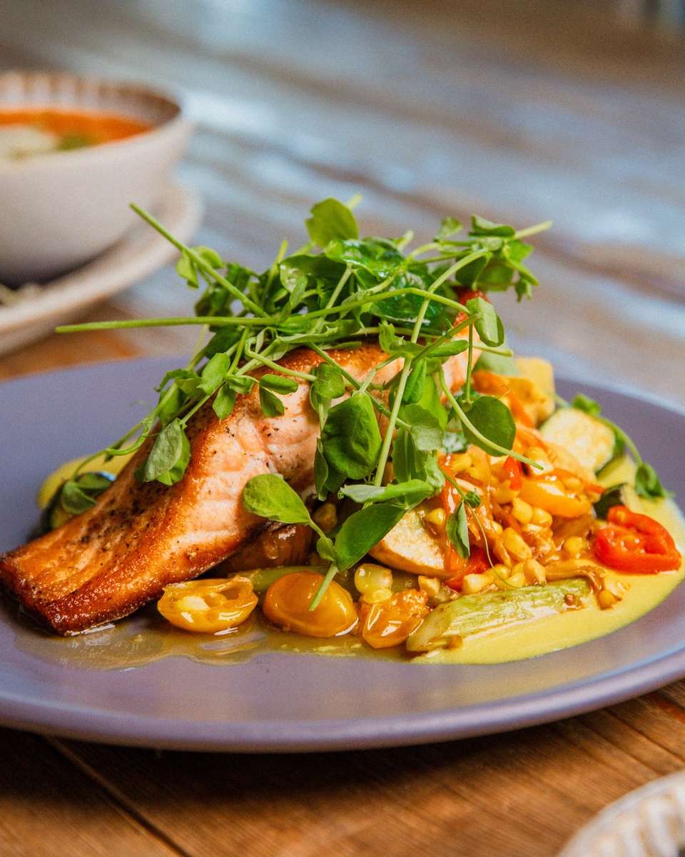 salmon