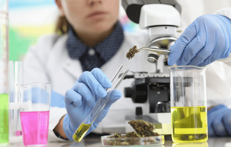 Blog Lazy Daze Coffee Shop