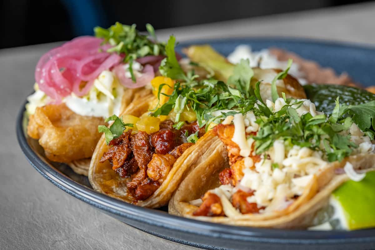 taco dinner
