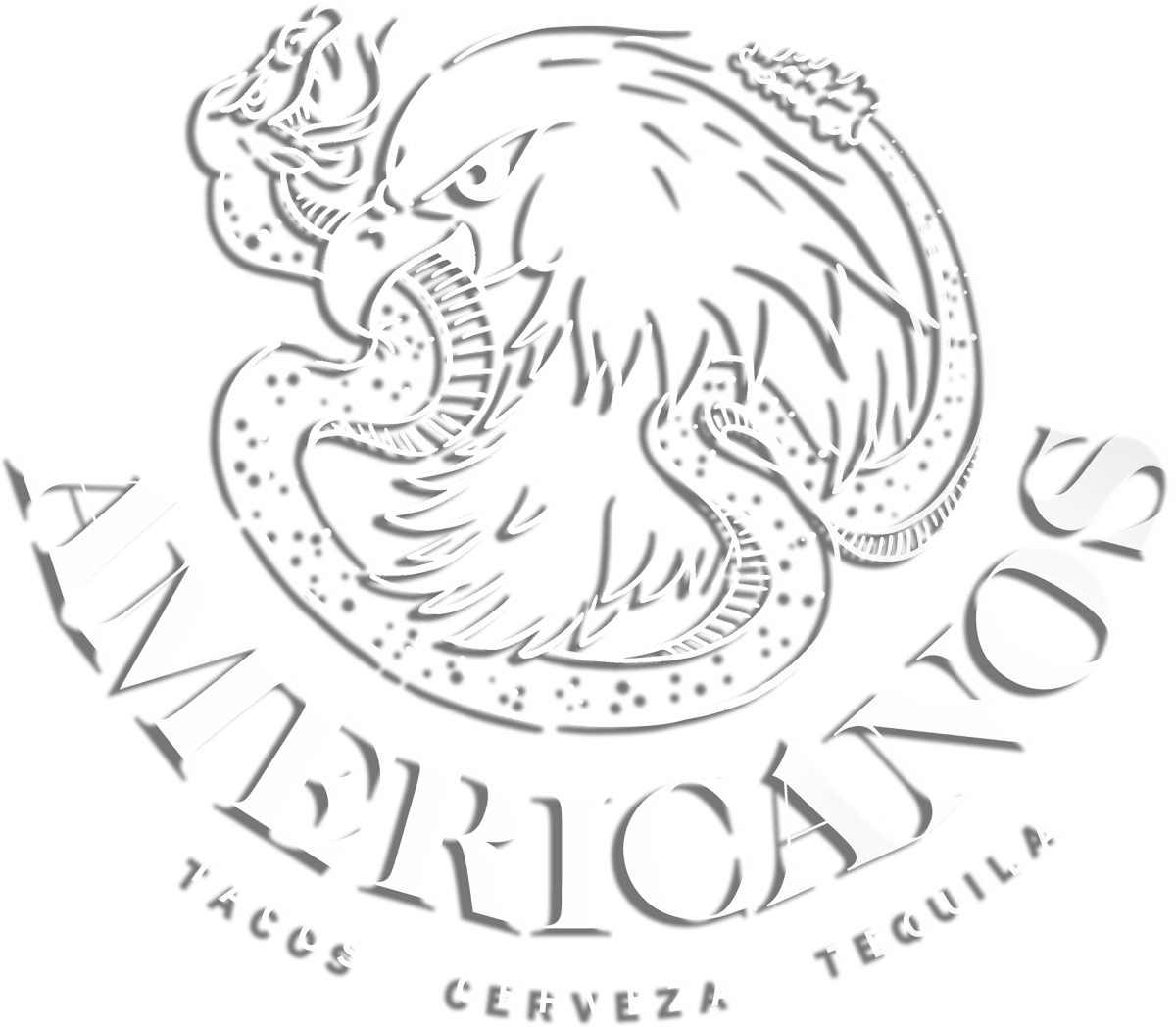 americanos chicago illinois