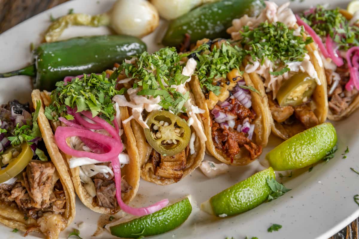 closeup of six tacos