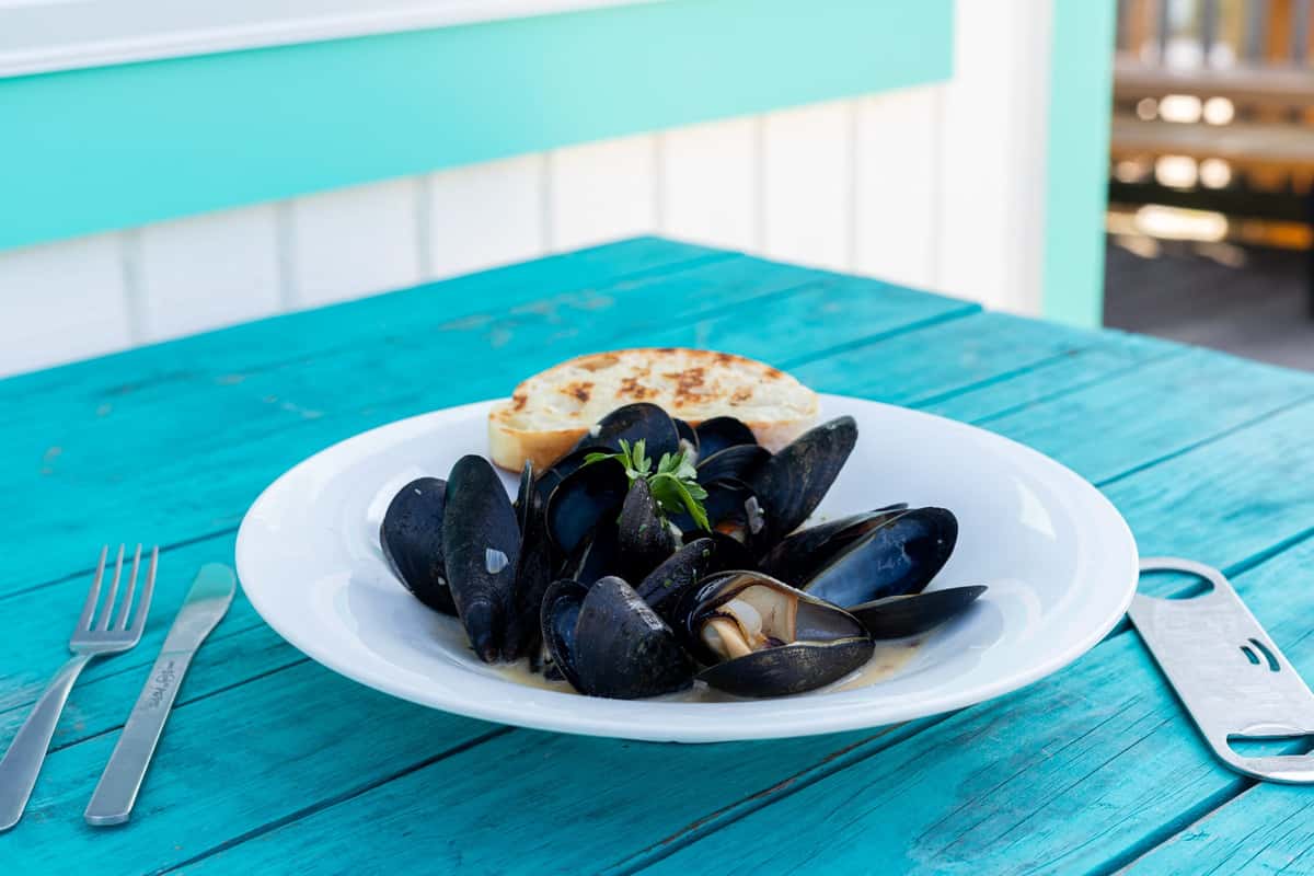 mussels