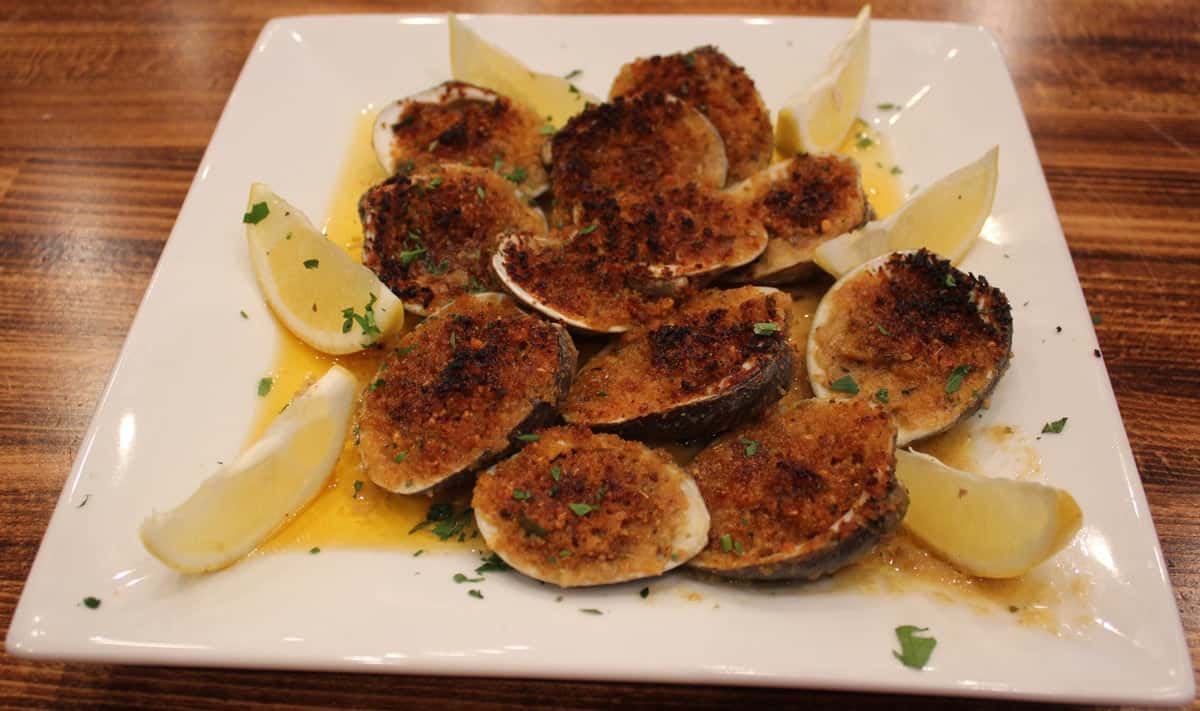 Oysters