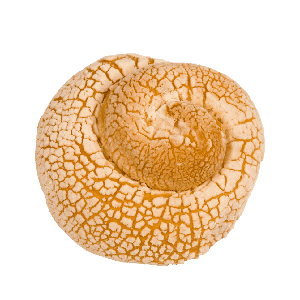 Caracol