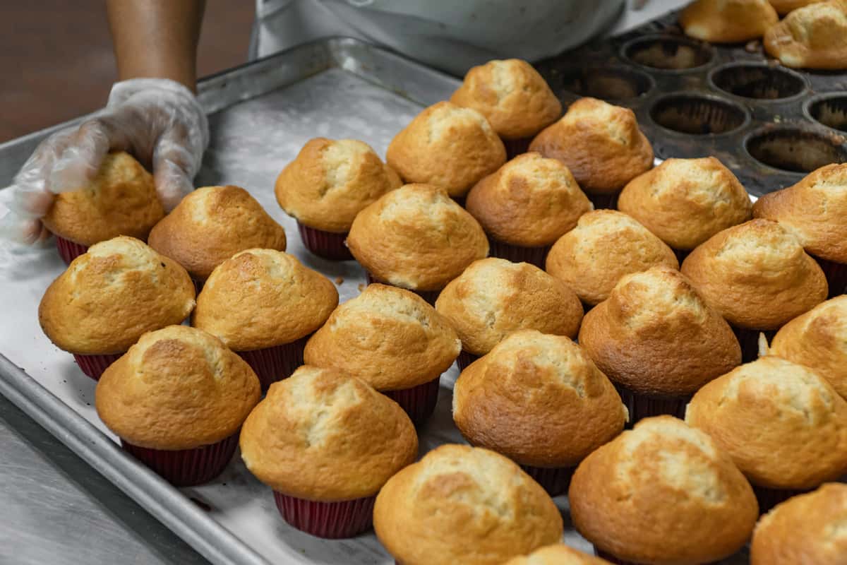 Muffins