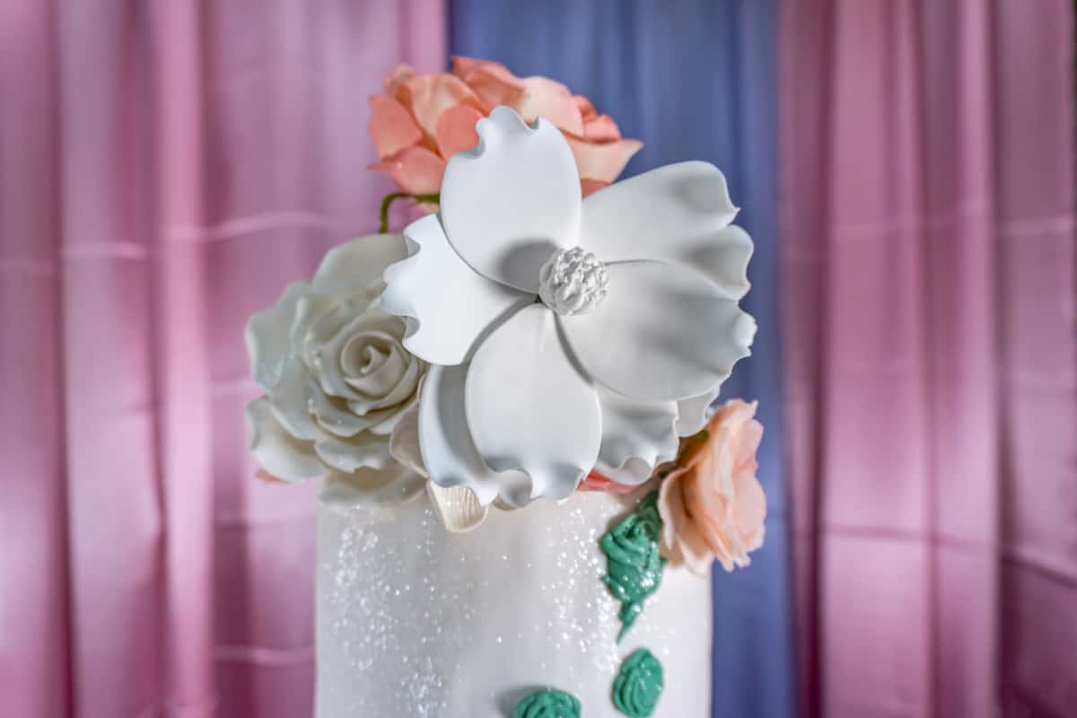 Cake
