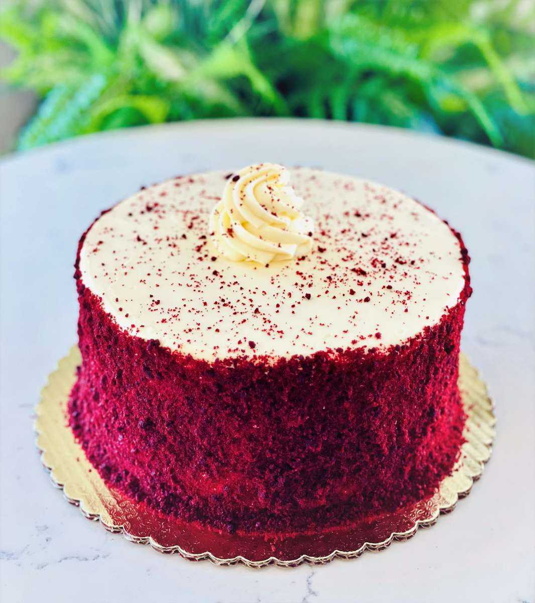 Magnolia Bakery's Red Velvet Cake with Whipped Vanilla Icing |  HamiltonBeach.com