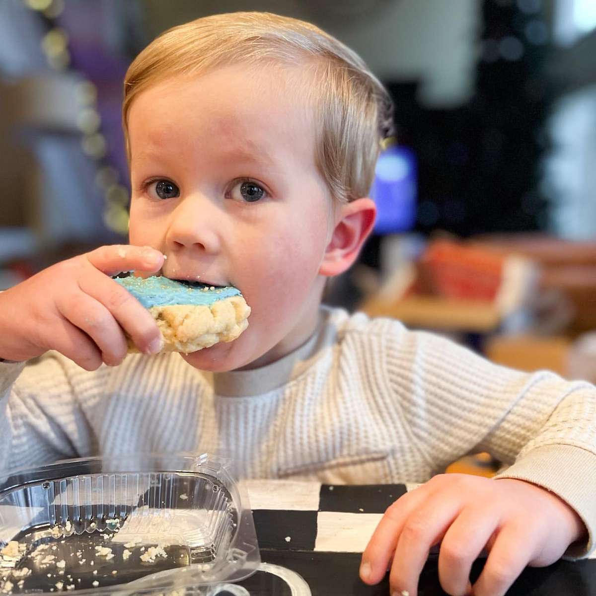 Young boy eating a cookie.