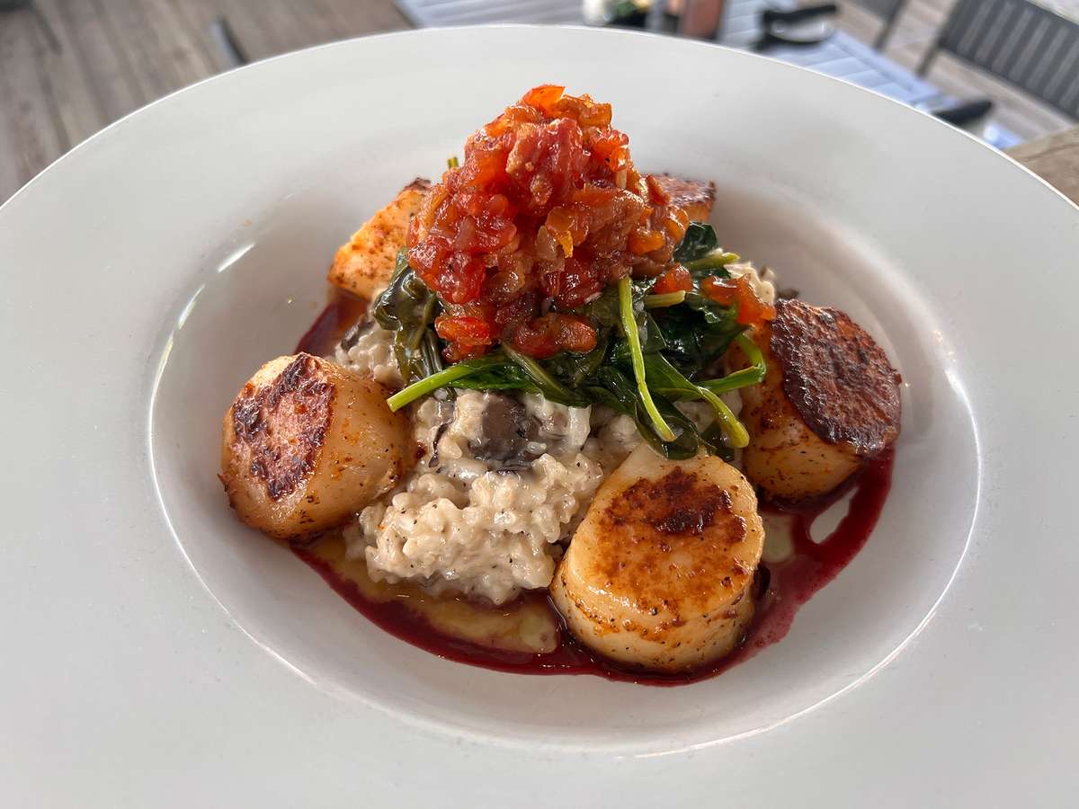 Dinner Scallops