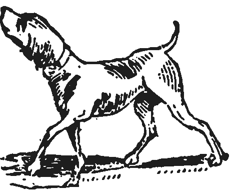 dog logo
