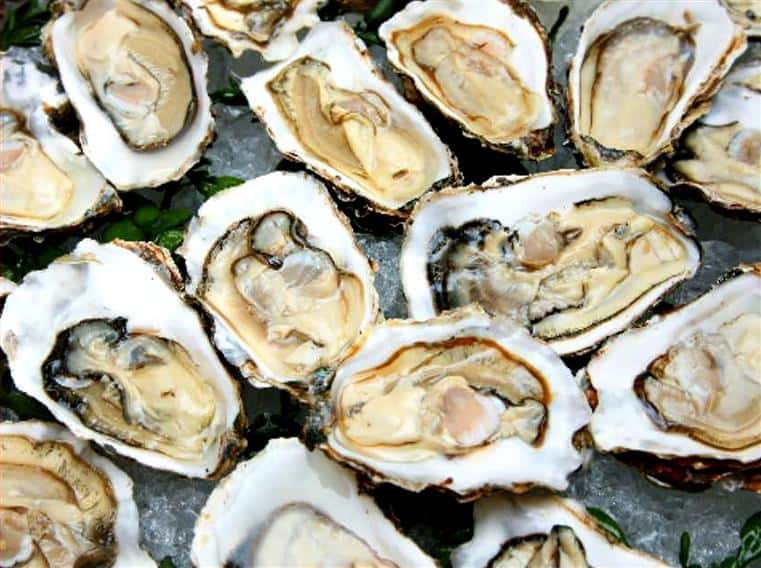 oysters on the half shell