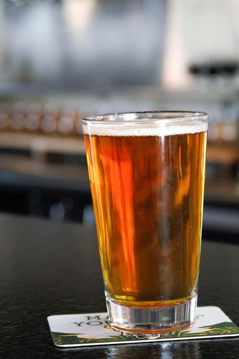Beer.jpg