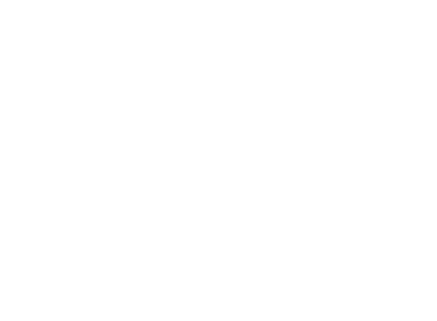 Next Level Brands