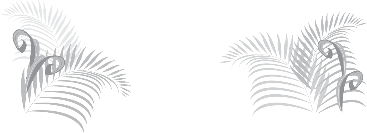 palms