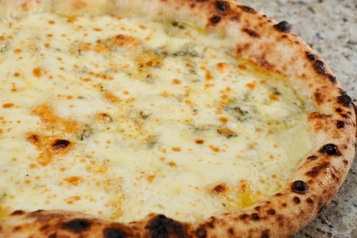 Close-up of a Neapolitan-style four cheese pizza with a bubbly, charred crust and melted cheese blend on a granite countertop.