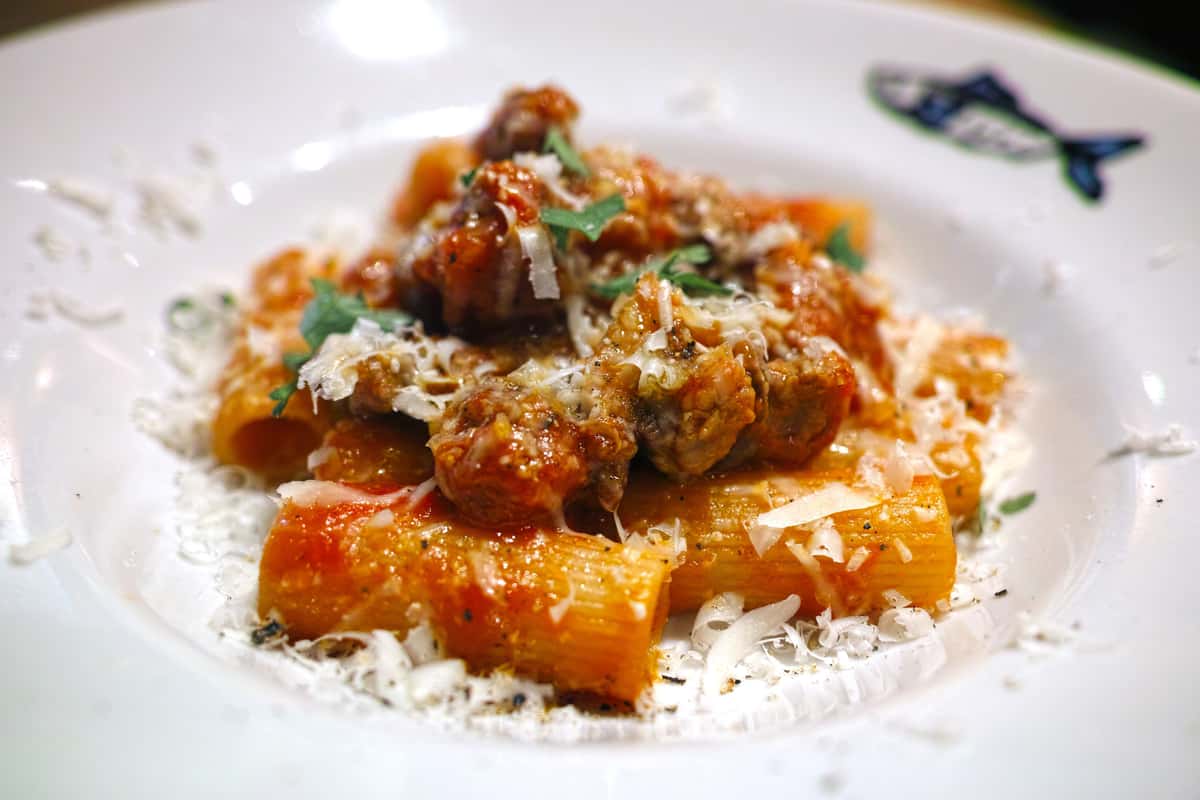 Rigatoni pasta with meat ragu and parmesan