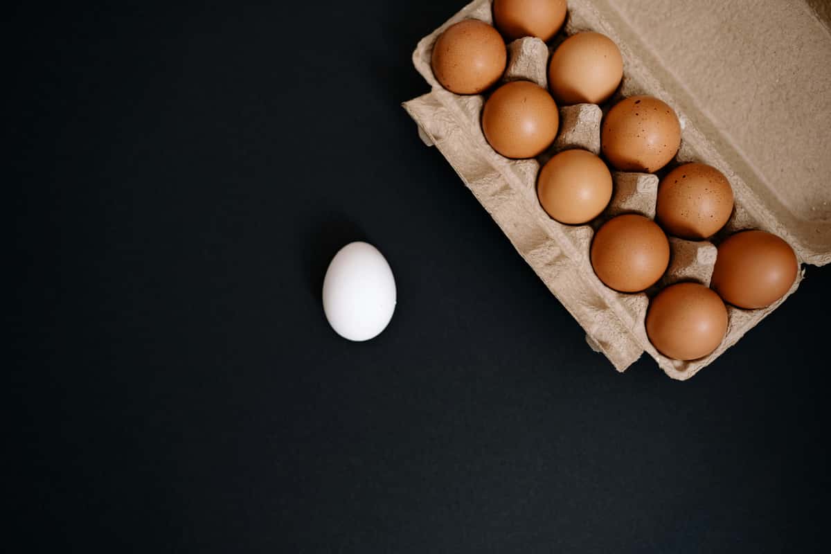 Cook's Country Cooking Egg Photo