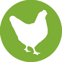 chicken icon