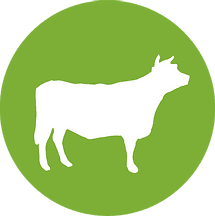 cow icon