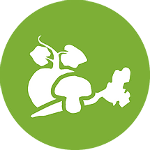 veggie icon