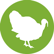 turkey icon