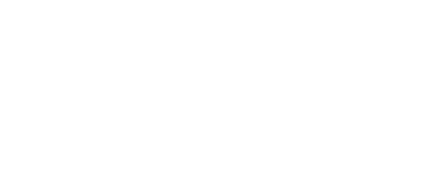 white bravo logo