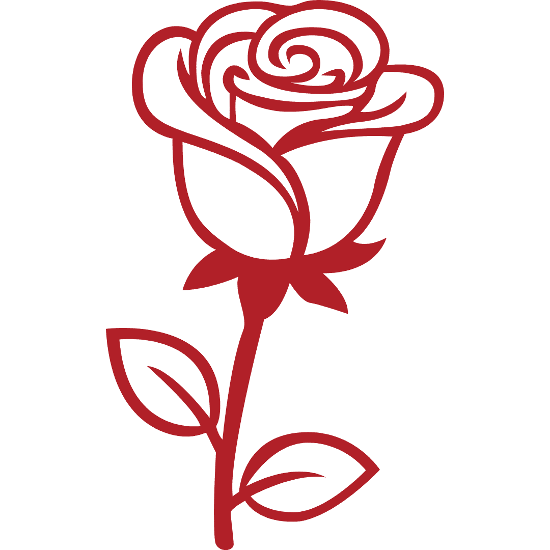 red rose