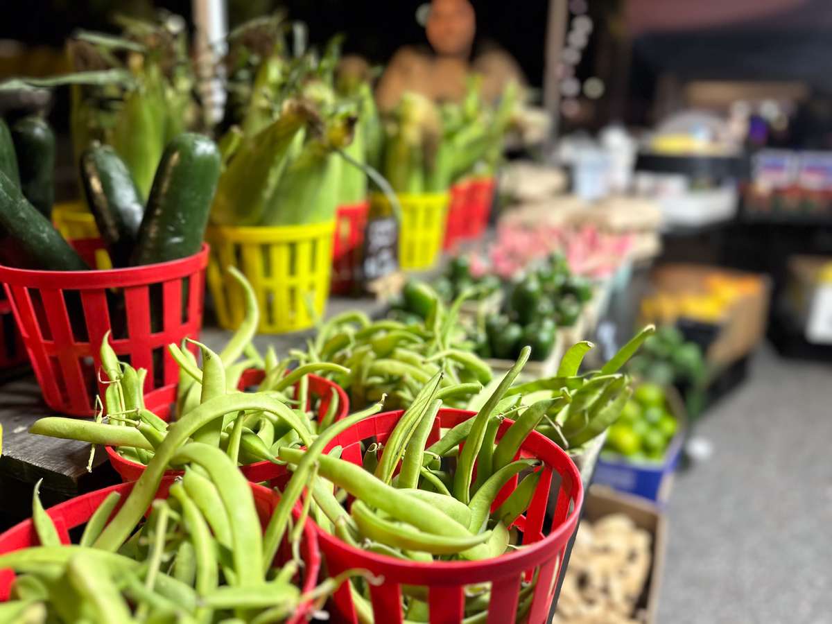 fresh veggies