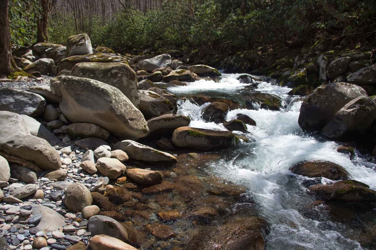 Creek
