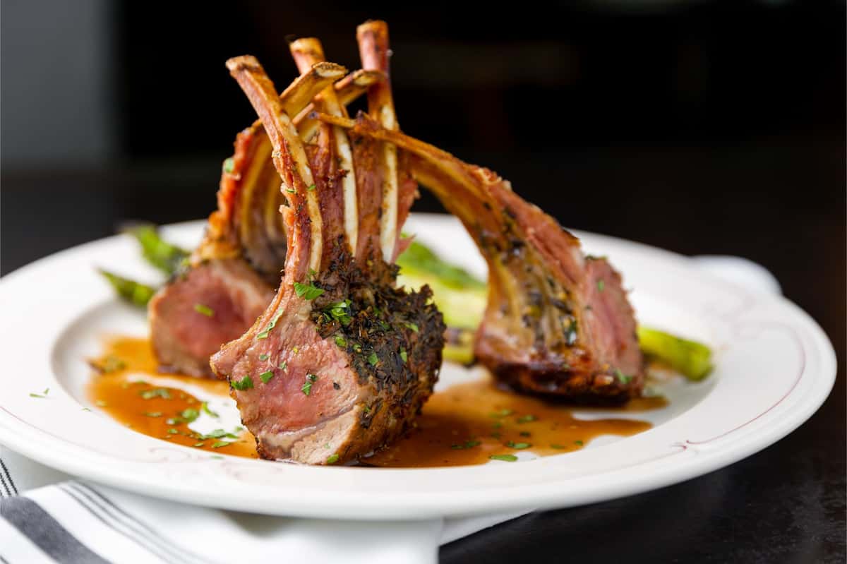 lamb