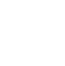 peanut icon