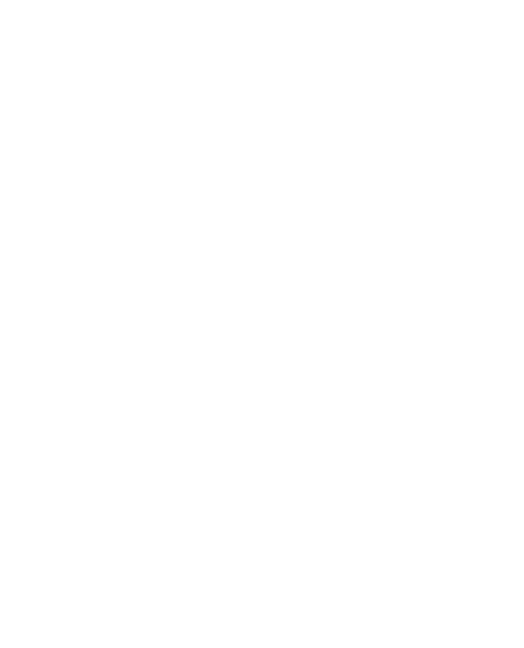 egg icon