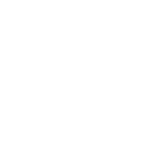 Nuts Icon