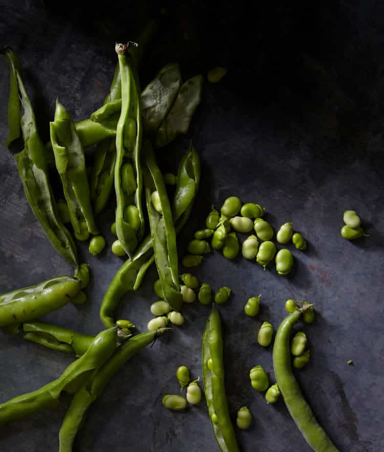 Longhorn Catering Events Caterer In Dallas TX longhorn-catering-events-caterer-in-dallas-tx