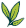 Vegan
