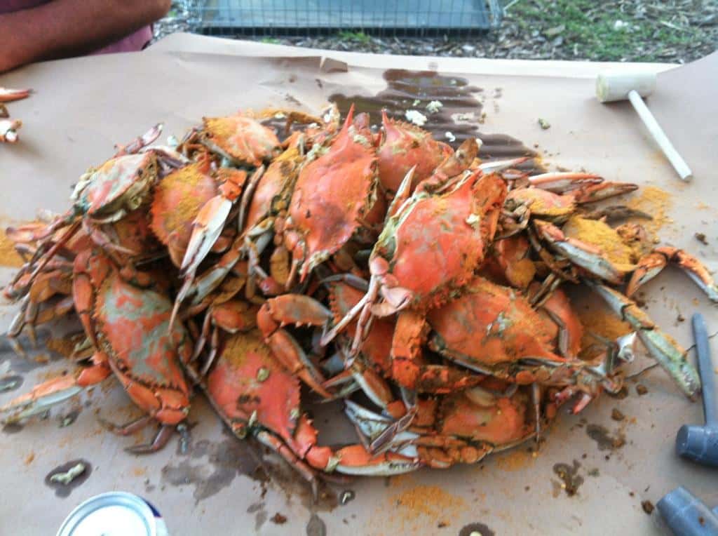 Crab Feast Picnic