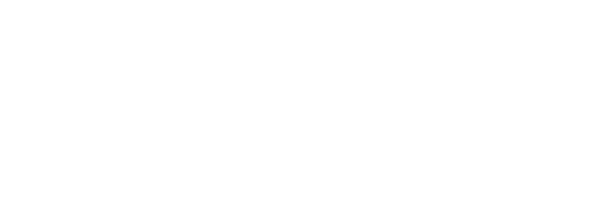 Dokota's logo