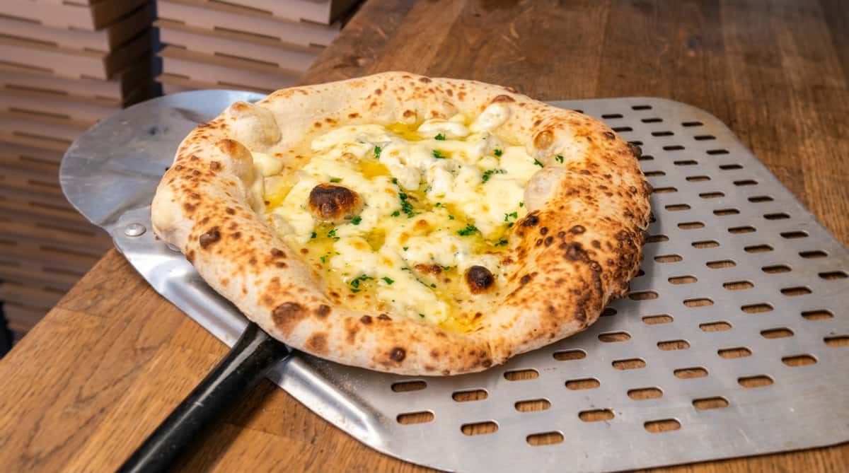 Neapolitan-style white pizza with melted mozzarella, ricotta, garlic oil, and parsley on a perforated pizza peel.