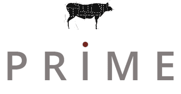 prime logo